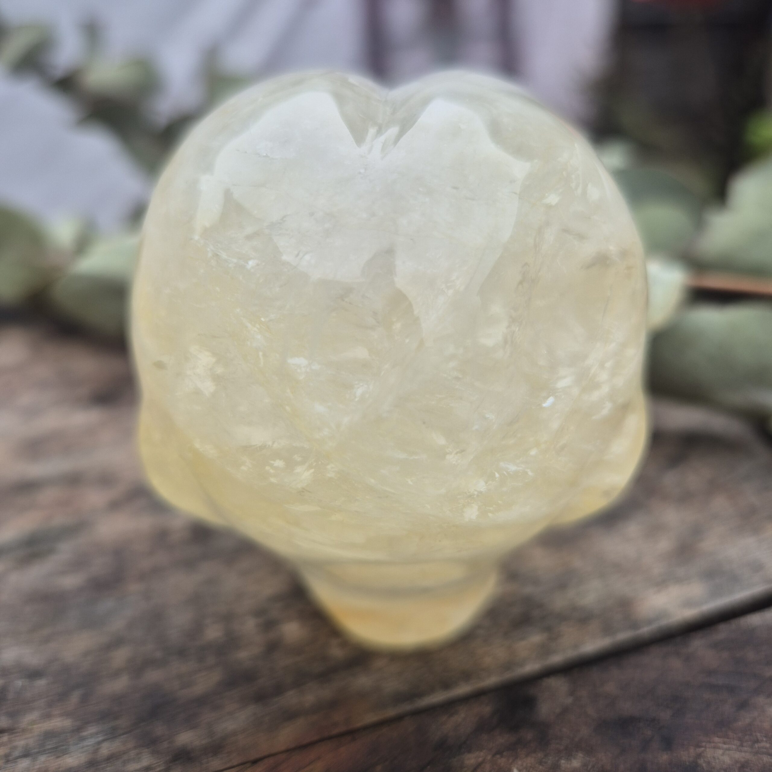 Goldenhealer Starbeing - Afbeelding 3