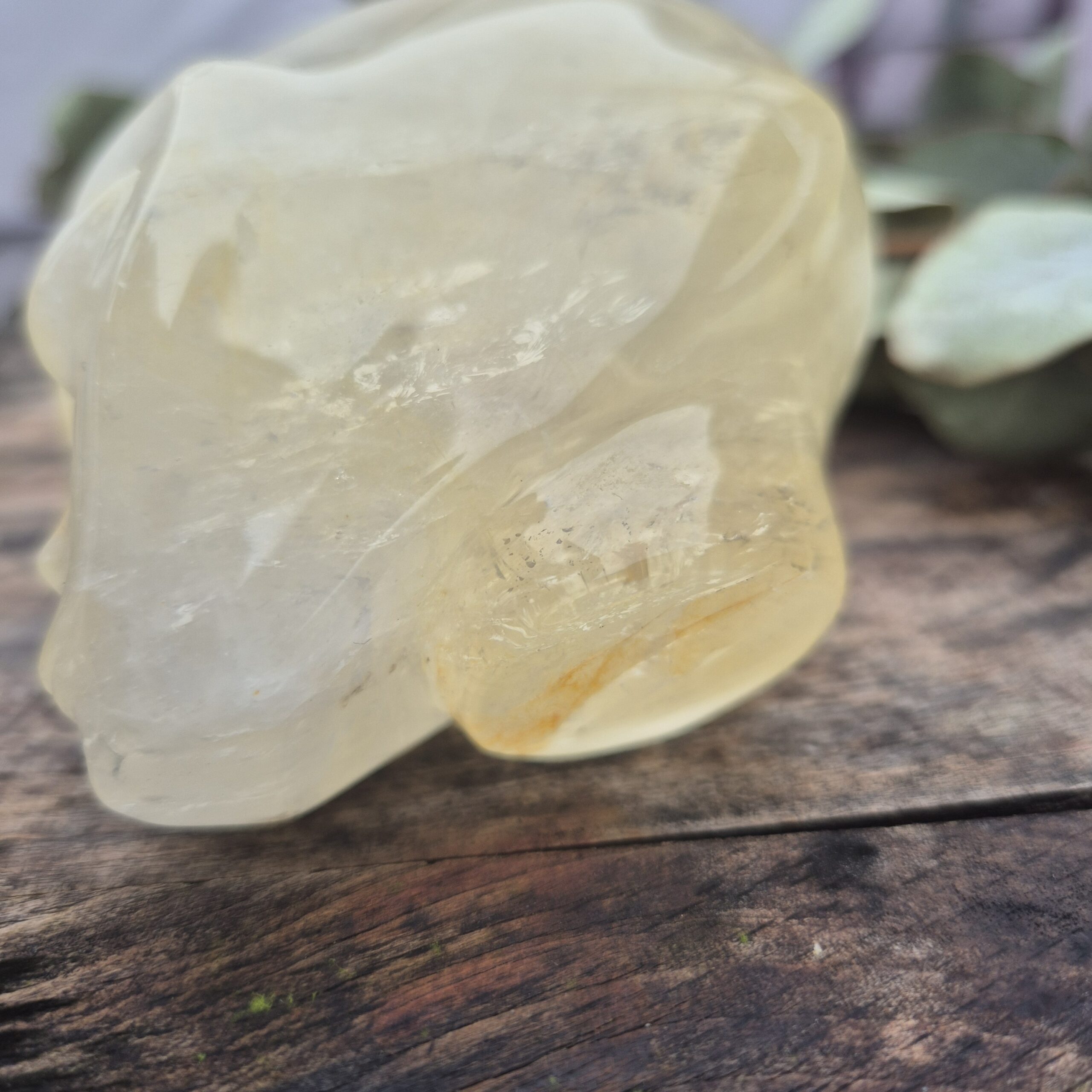 Goldenhealer Starbeing - Afbeelding 5