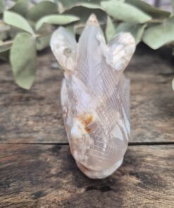 Alternative view of Floweragaat speciale draken skull