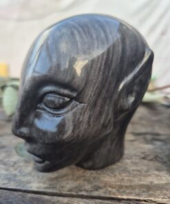 Alternative view of Zilver obsidiaan Elf skull
