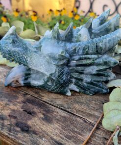 Alternative view of Mytische draken skull mosagaat