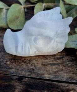 Seleniet draken skull