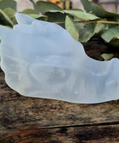 Alternative view of Seleniet draken skull