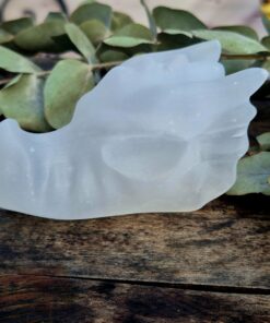 Seleniet draken skull