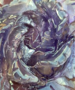 Alternative view of Fluoriet roos 2