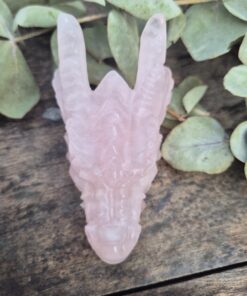 Alternative view of Rozenkwarts draken skull