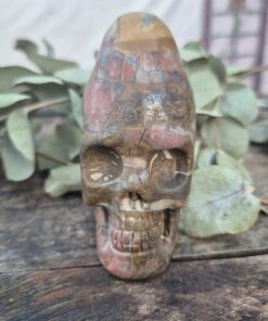 Peruaanse longhead schedel versteend hout 1