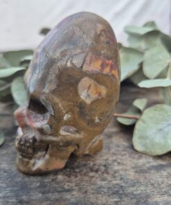 Peruaanse longhead schedel van versteend hout 2