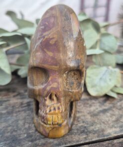 Peruaanse longhead schedel van versteend hout 3