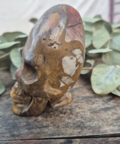 Alternative view of Peruaanse longhead schedel van versteend hout 3