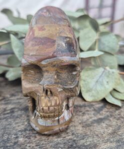 Peruaanse longhead schedel van versteend hout 4