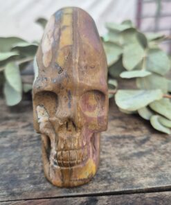 Peruaanse longhead schedel van versteend hout 5