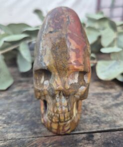 Peruaanse longhead schedel van versteend hout 6