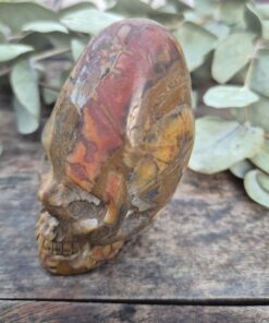 Alternative view of Peruaanse longhead schedel van versteend hout 6