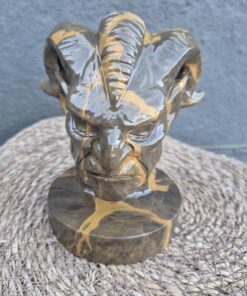 Alternative view of Gehoornde jade schedel