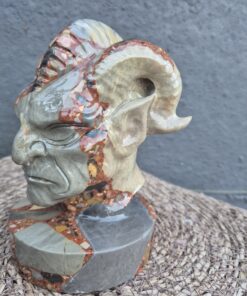 Alternative view of Gehoornde conglomeraat schedel