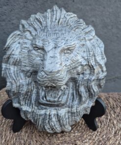 Crazy lace agaat leeuwenkop