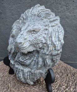 Alternative view of Crazy lace agaat leeuwenkop