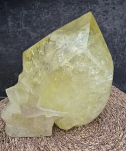 Citrien punt schedel