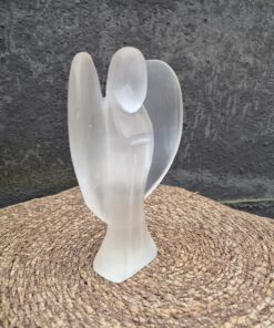 Alternative view of Seleniet engel 2