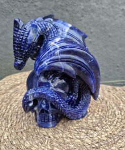 Draak op skull sodaliet