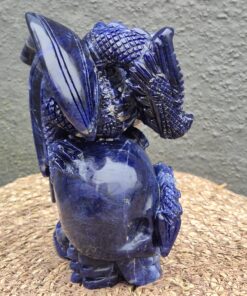 Alternative view of Draak op skull sodaliet