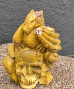 Mookaiet draak met skull