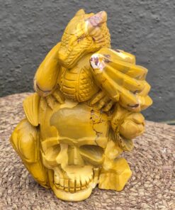 Alternative view of Mookaiet draak met skull