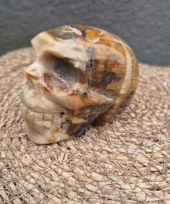 Versteend houten skull 1