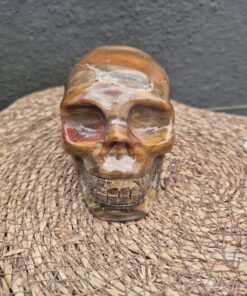 Alternative view of Versteend houten skull 2