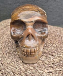 Alternative view of Versteend houten skull 3