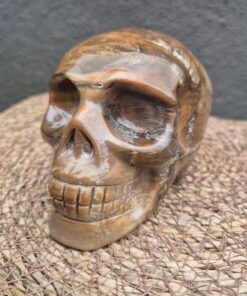 Versteend houten skull 3