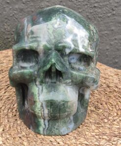 Alternative view of Mosagaat schedel