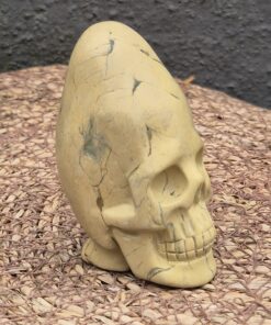 Alternative view of Peruaanse longhead jaspis schedel