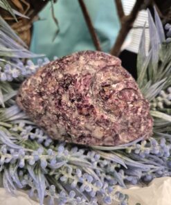 Alternative view of Lepidoliet met mica alien traveller skull