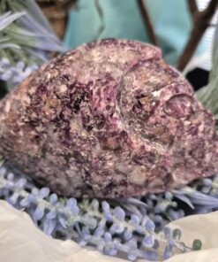 Lepidoliet met mica alien traveller skull