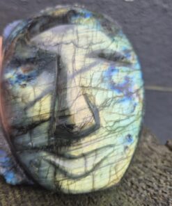 Alternative view of Labradoriet hoofd (skull)