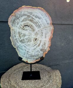 Alternative view of Versteend hout op standaard