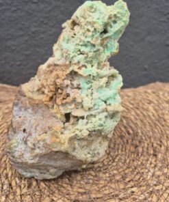 Alternative view of Smithsoniet schedel