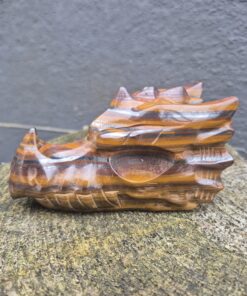 Tijgerijzer draken skull 2