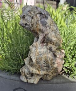 Alternative view of Dendriet agaat skull met leeuw