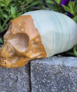 Jaspis traveller skull 1