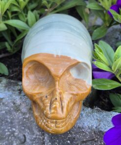 Alternative view of Jaspis traveller skull 2