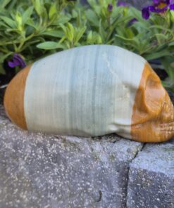 Jaspis traveller skull 2