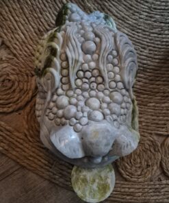 Alternative view of Lemoen jade money toad, geldpad