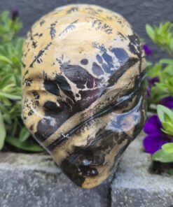 Alternative view of Dendriet agaat Avatar skull