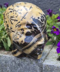 Dendriet agaat Avatar skull