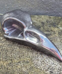 Shungiet raven skull