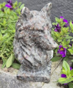 Alternative view of Yooperlite wolf skull 2