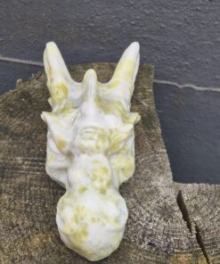 Alternative view of Lemoen jade waterdraken skull